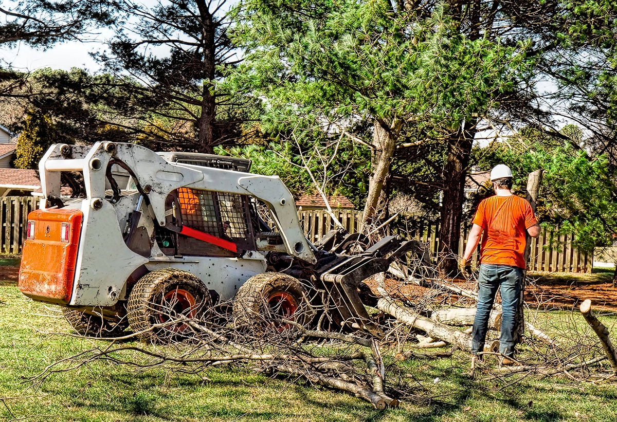 5 Reasons Why You Should Hire a Professional Tree Removal Service